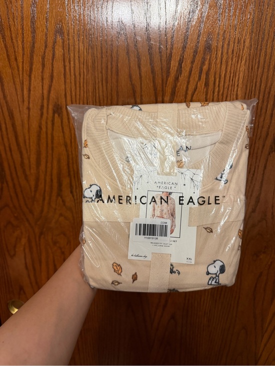 American Eagle Outfitters Other - American Eagle snoopy Pjs